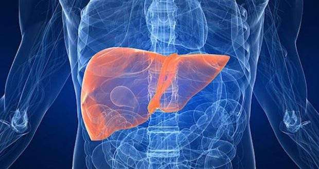 Read more about the article Brasil pode estar próximo da cura da Hepatite C