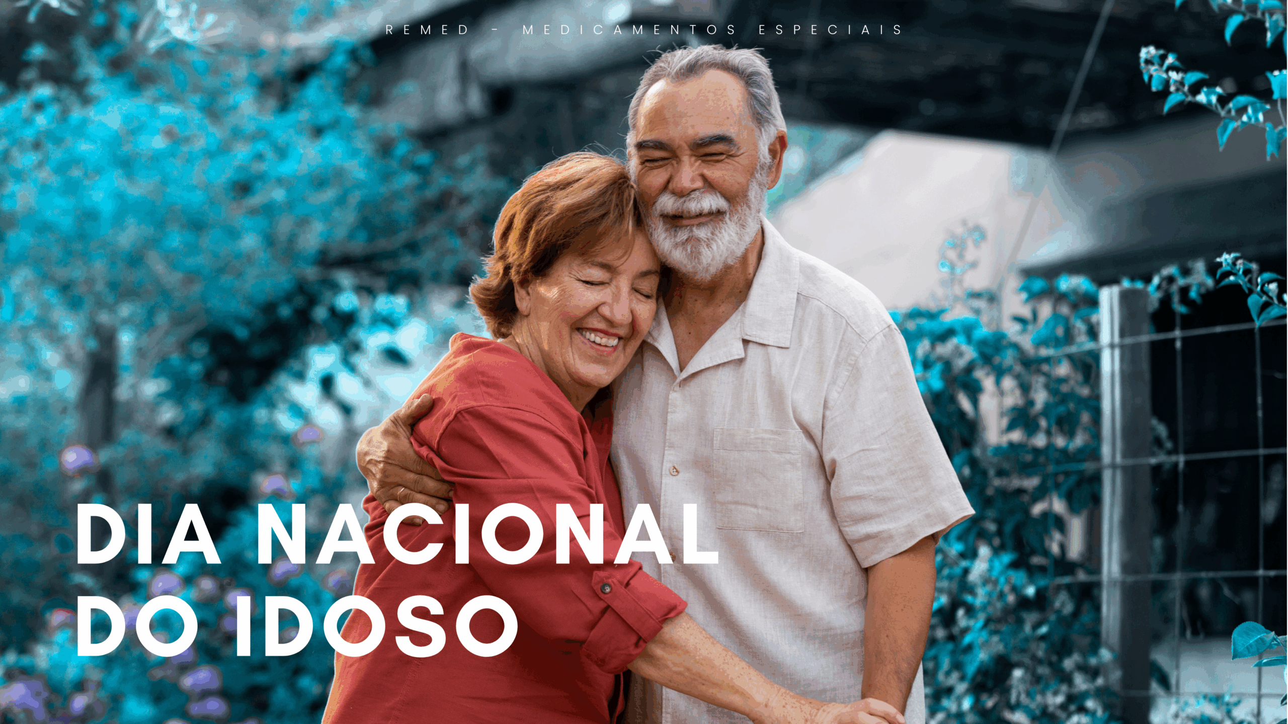 Leia mais sobre o artigo Dia Nacional do Idoso: saúde, cuidados e qualidade de vida